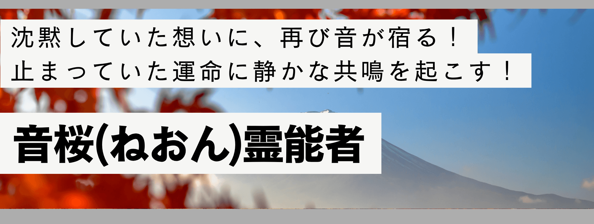 電話占い戸隠で現在最も注目を集める人気霊能者『音桜 (ネオン) 霊能者』