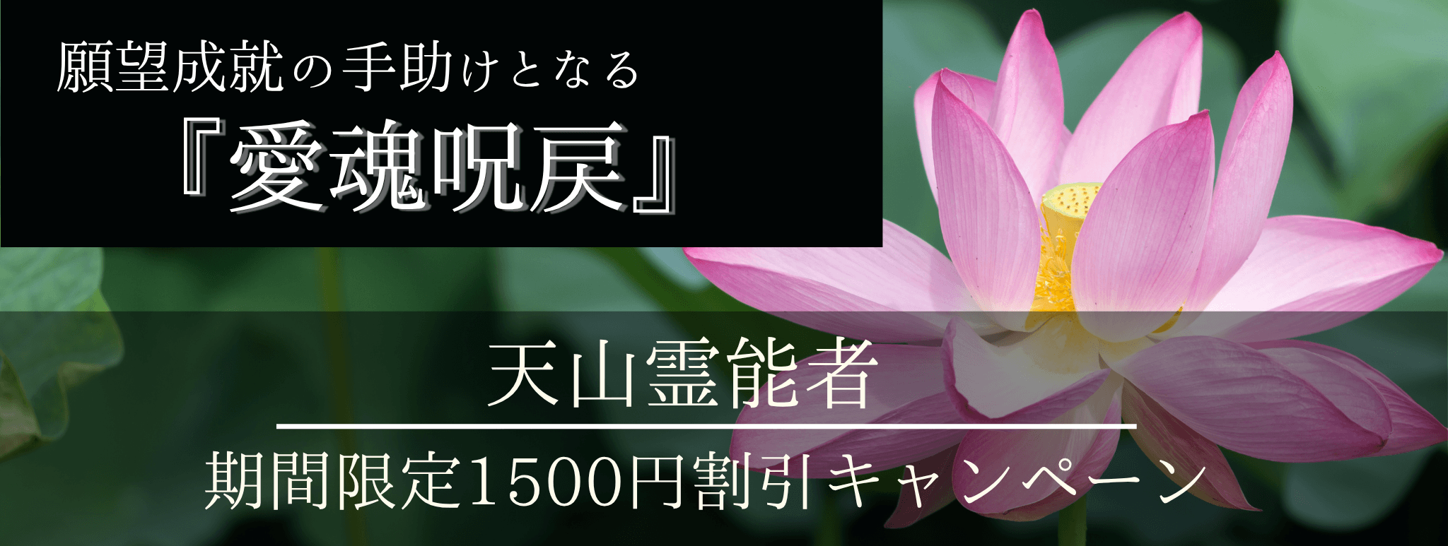 特別企画始動！願望成就の手助けとなる脅威の特殊占術 第13回 天山（テンザン）霊能者『愛魂呪戻』
